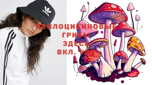 не бодяженный Куйбышев