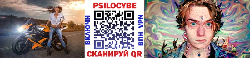 Галлюциногенные грибы Psilocybe  Шарья 