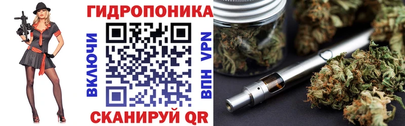 Шишки марихуана THC 21%  наркотики  кракен зеркало  Шарья 